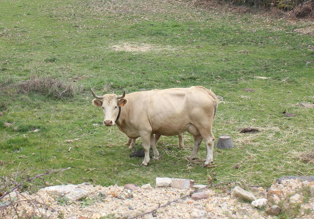 Casa Rural La Calzada El Payo Eksteriør bilde